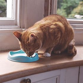 BECO - BOWL PARA GATO