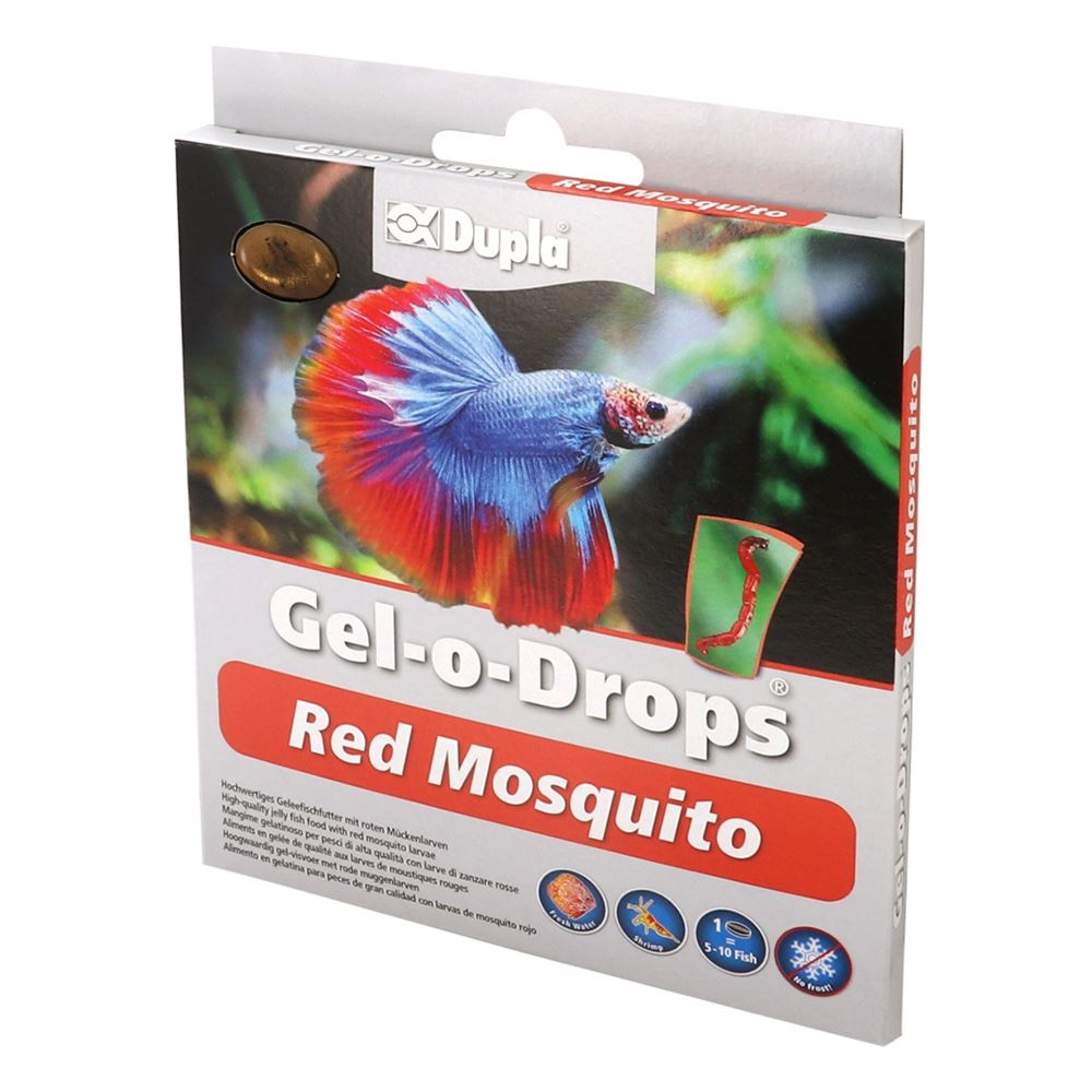 DUPLA - GEL-O-DROPS COM LARVAS DE MOSQUITO