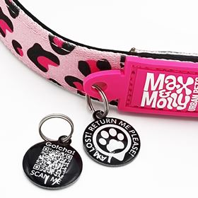 MAX & MOLLY - COLEIRA COM ID TAG "LEOPARD PINK"