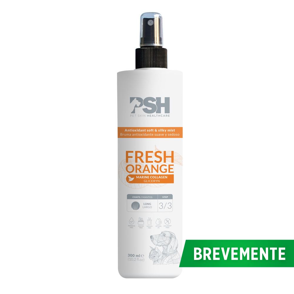 PSH - FRESH ORANGE MIST