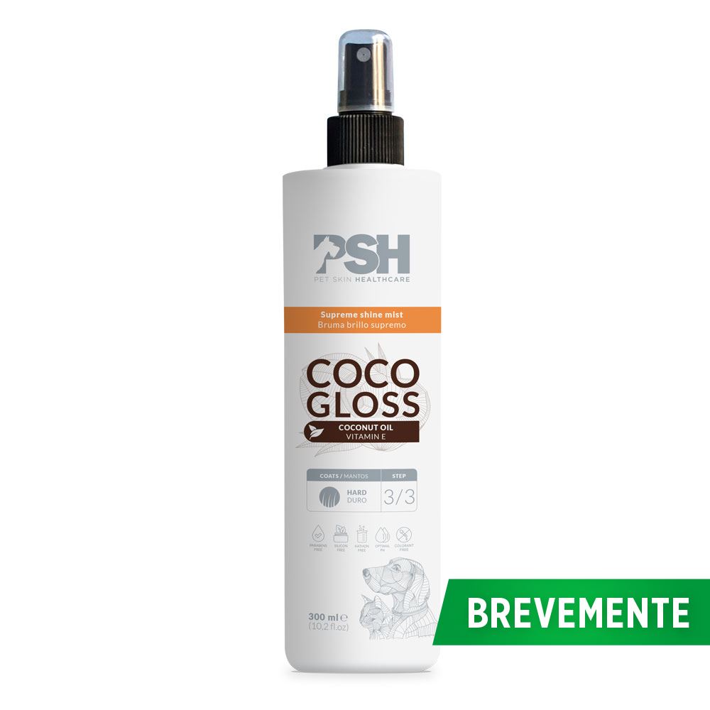 PSH - COCO GLOSS MIST