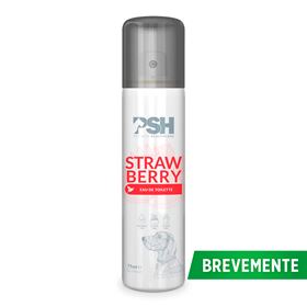 PSH - STRAWBERRY EAU DE TOILET