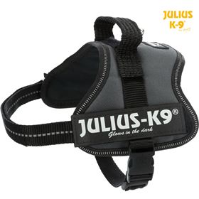 PEITORAL "JULIUS-K9"