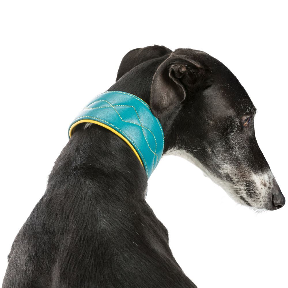 COLEIRA EM PELE "ACTIVE COMFORT" PARA GALGO