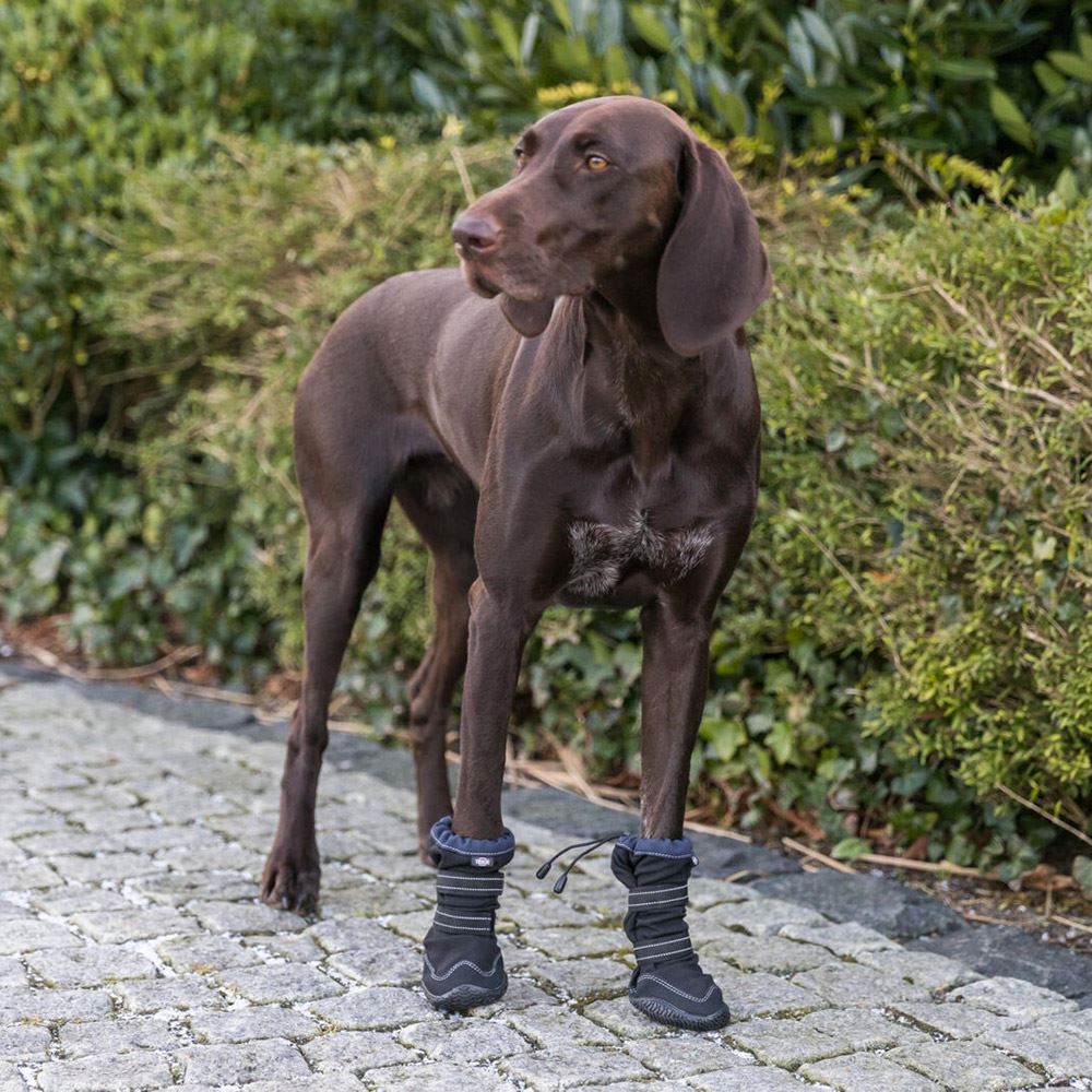 BOTA PROTETORA "WALKER ACTIVE LONG" PARA CÃES