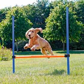 BARREIRA PARA AGILITY