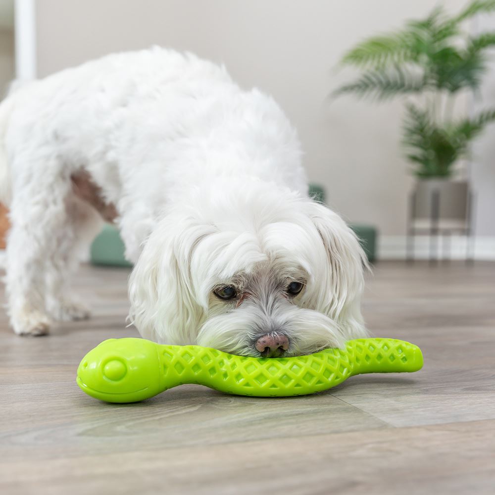 SNACKY-SNAKE EM BORRACHA TPR