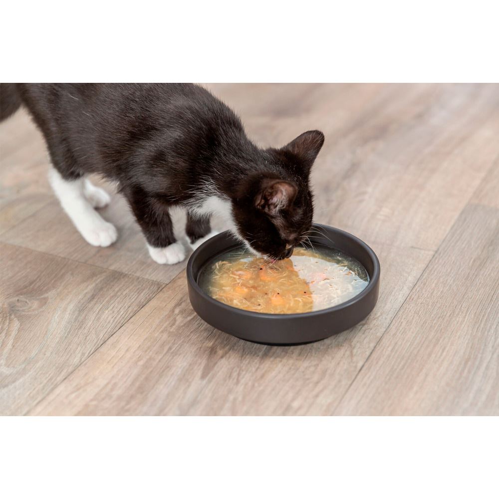 SOPA DE CAMARÃO COM FRANGO (4 unidades)