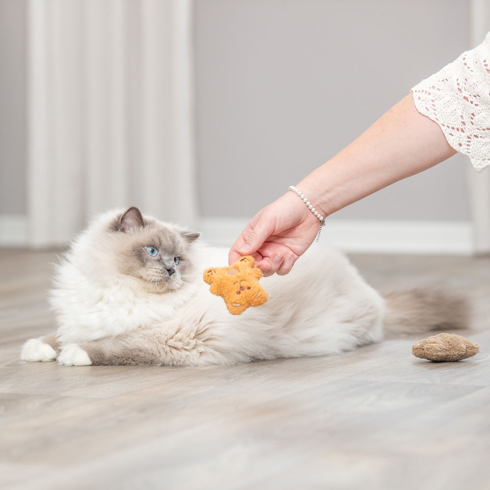 URSO EM PELÚCIA COM CATNIP