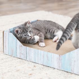 CAMA DE ARRANHAR EM CARTÃO COM CATNIP