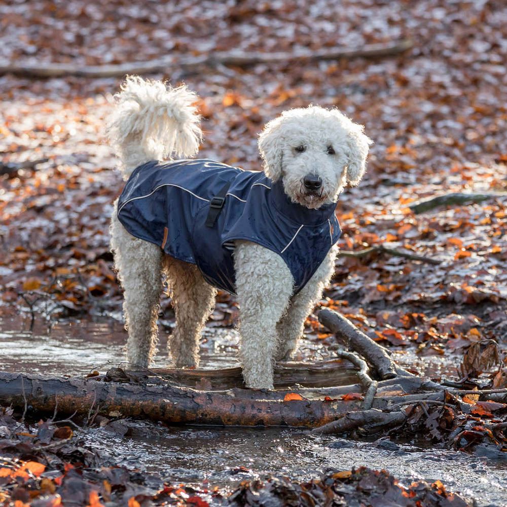 CAPA "BE NORDIC HUSUM" PARA CÃES