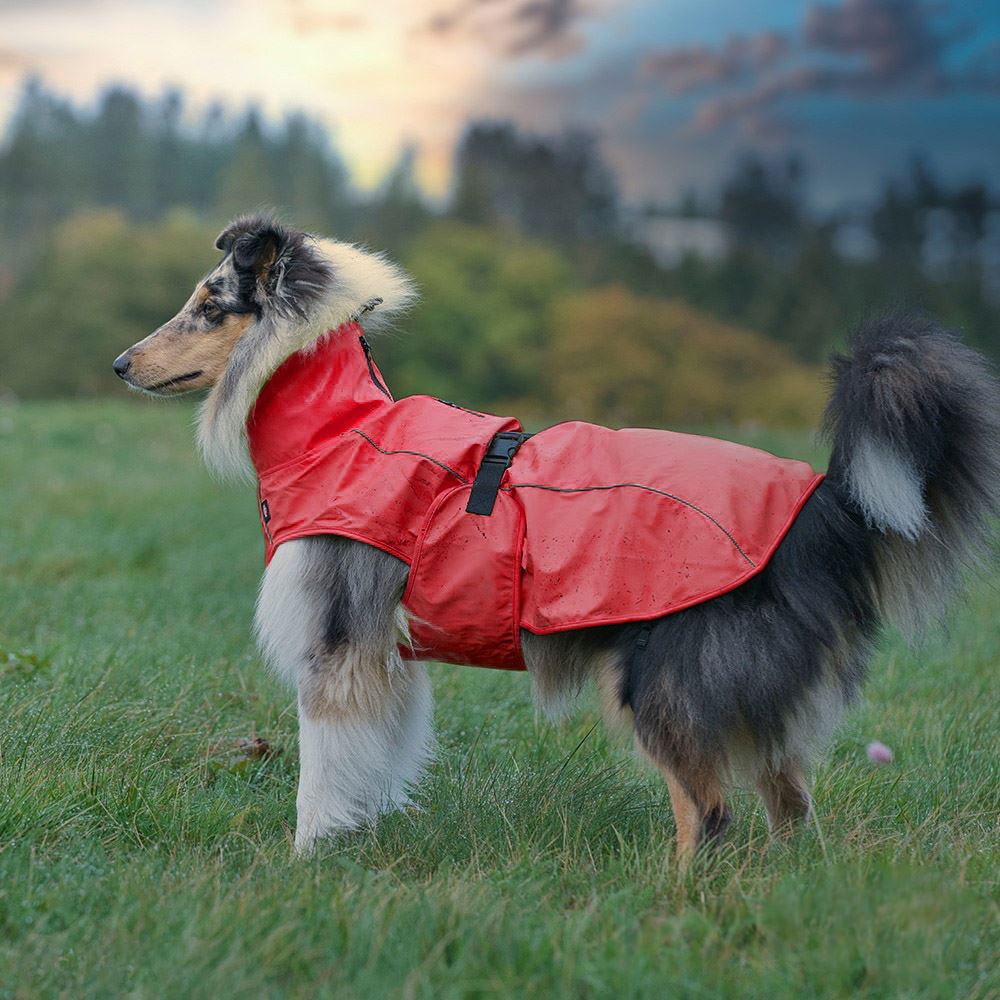 CAPA "VIMY" PARA CÃES