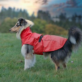 CAPA "VIMY" PARA CÃES