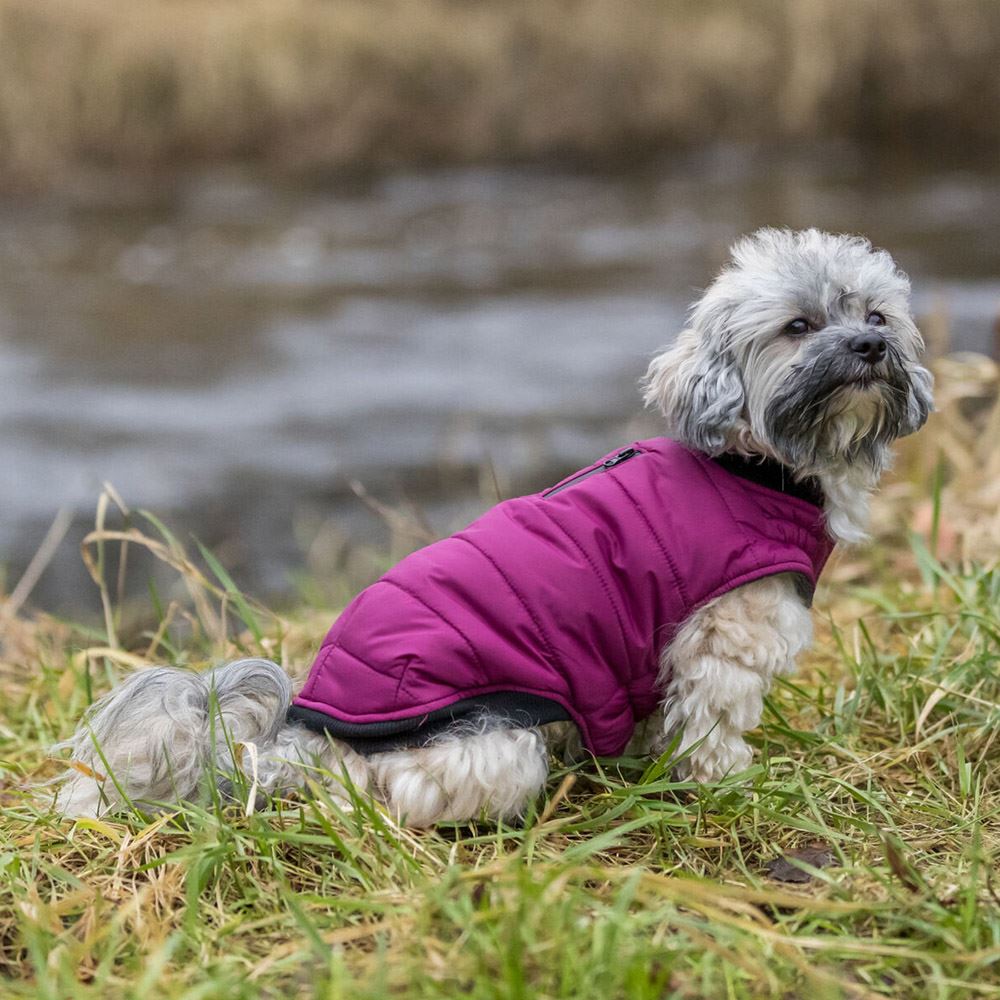 CAPA "ARLAY" PARA CÃES