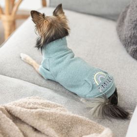 SWEATSHIRT "LITTLETON" PARA CÃES