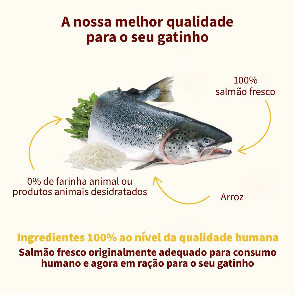 ALMO NATURE HFC "OUR BEST" CAT SALMÃO