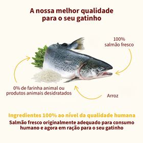 ALMO NATURE HFC "OUR BEST" CAT SALMÃO