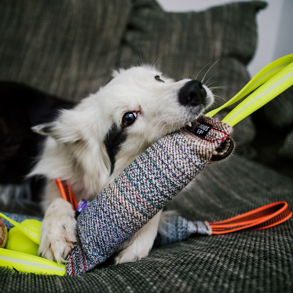 CHURRO "JULIUS K-9" EM ALGODÃO