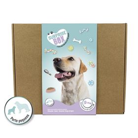 SURPRISE BOX CÃO (Porte Pequeno/Médio)