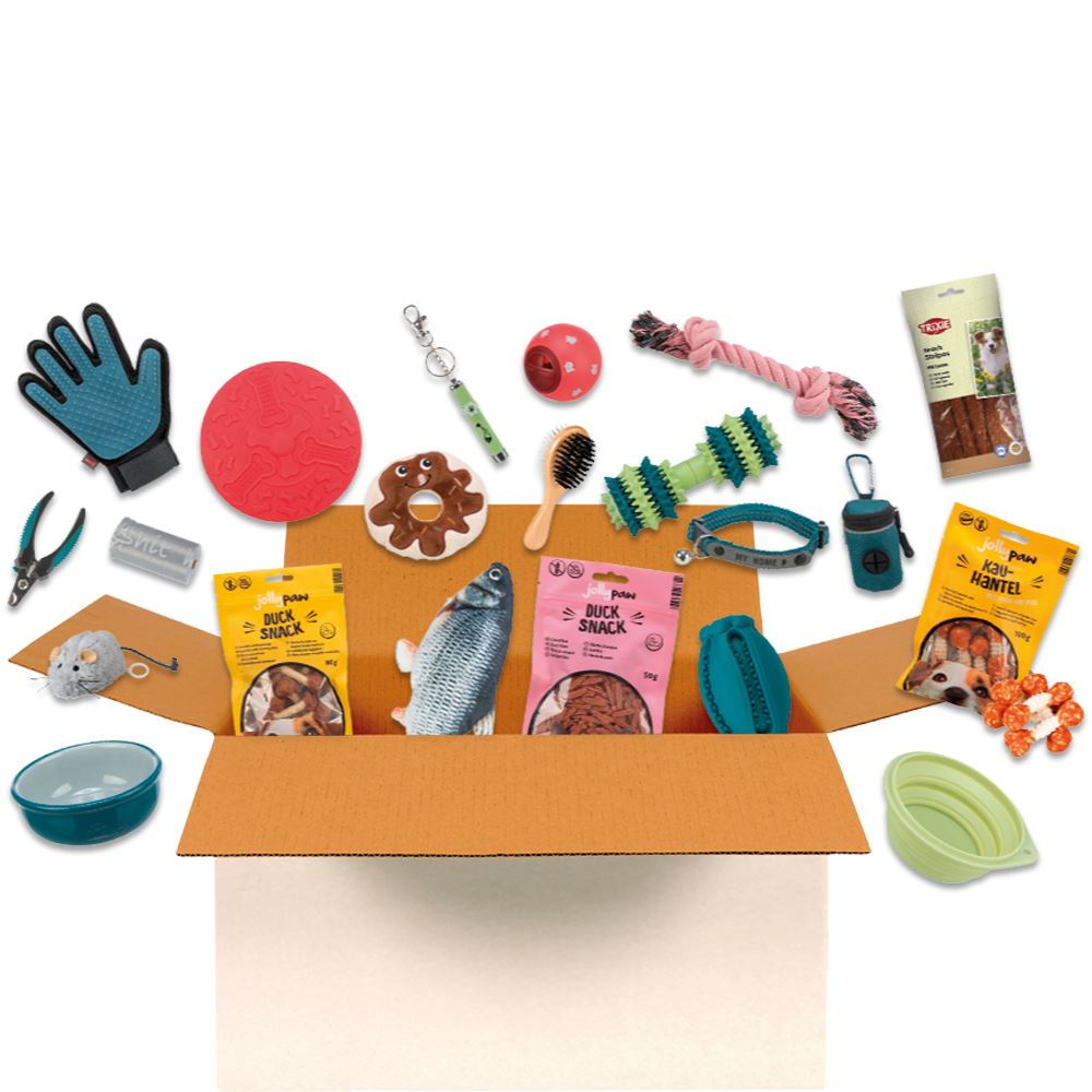 SURPRISE BOX CÃO (Porte Grande)