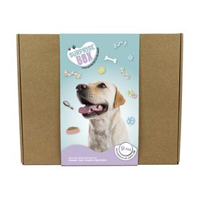 SURPRISE BOX CÃO (Porte Grande)