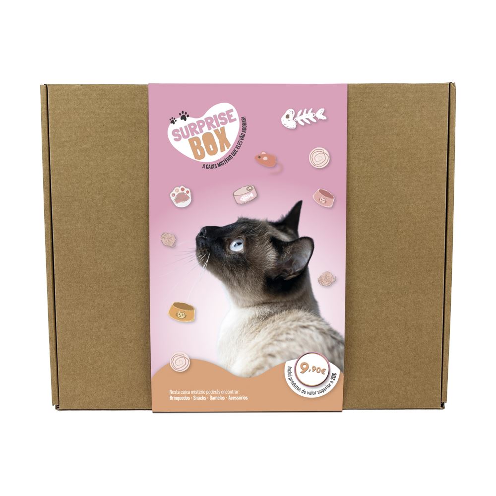 SURPRISE BOX GATO