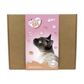 SURPRISE BOX GATO
