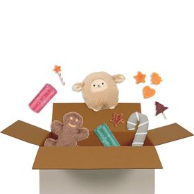 SURPRISE BOX "XMAS" (Porte Pequeno/Médio)