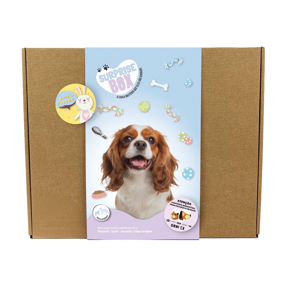 SURPRISE BOX "PÁSCOA" (Porte Pequeno/Médio)
