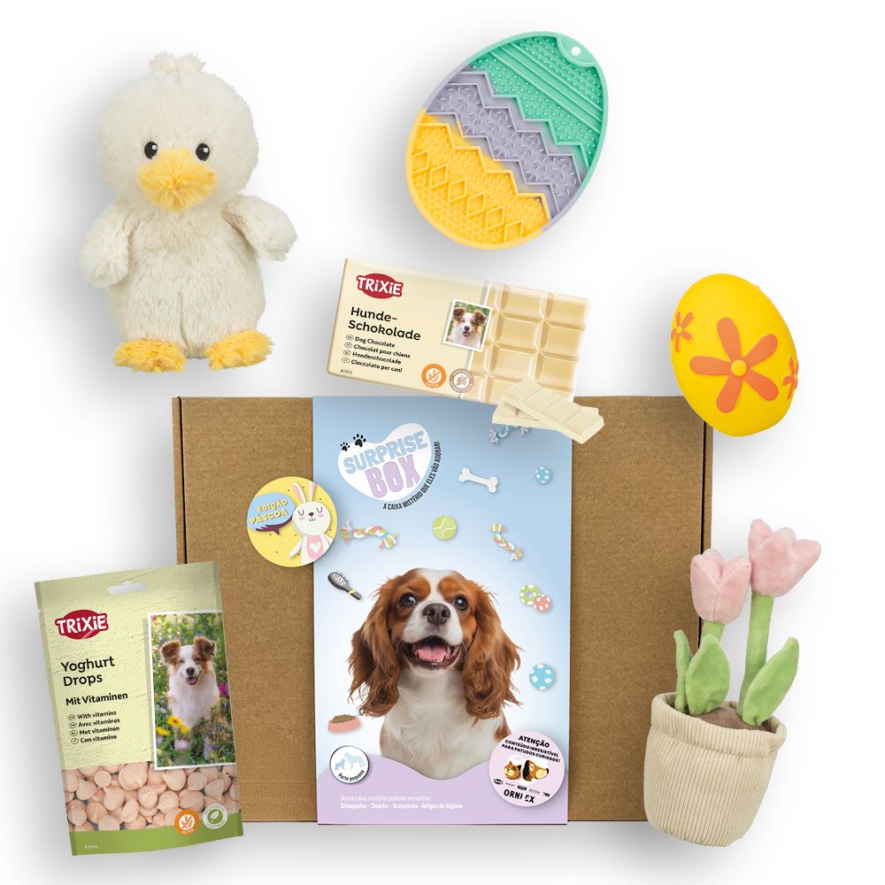 SURPRISE BOX "PÁSCOA" (Porte Pequeno/Médio)