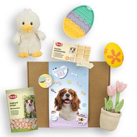 SURPRISE BOX "PÁSCOA" (Porte Pequeno/Médio)