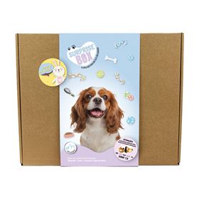 SURPRISE BOX "PÁSCOA" (Porte Pequeno/Médio)