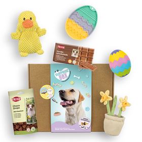 SURPRISE BOX "PÁSCOA" (Porte Grande)