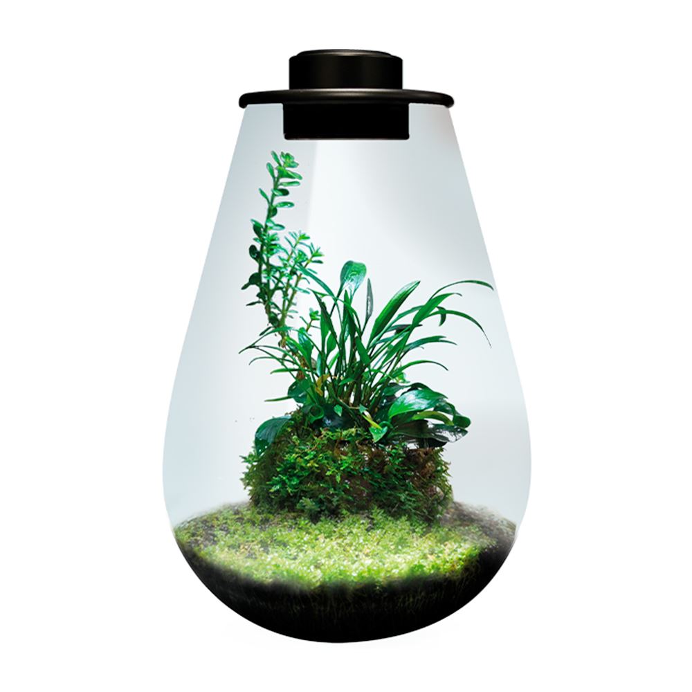 BIOART DROP - NANO TERRÁRIO