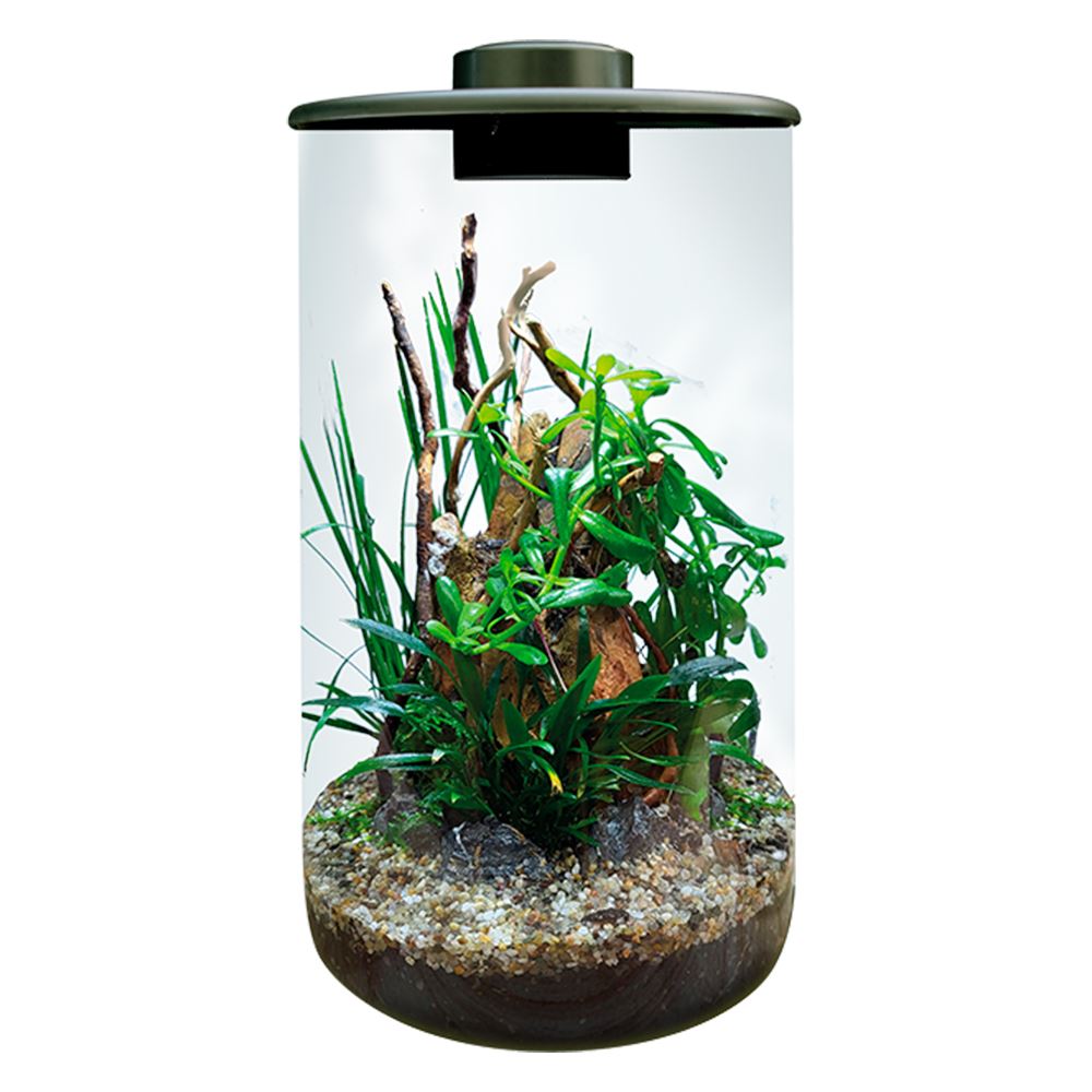 BIOART CYLINDER - NANO TERRÁRIO