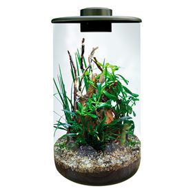 BIOART CYLINDER - NANO TERRÁRIO