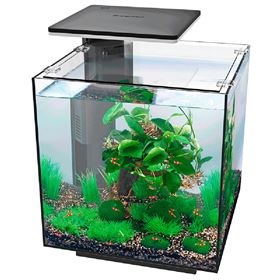 SUPERFISH - AQUÁRIO QUBIQ