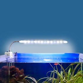 LUMINARIA LED "CLIP CRISTAL" HX-060A/3W