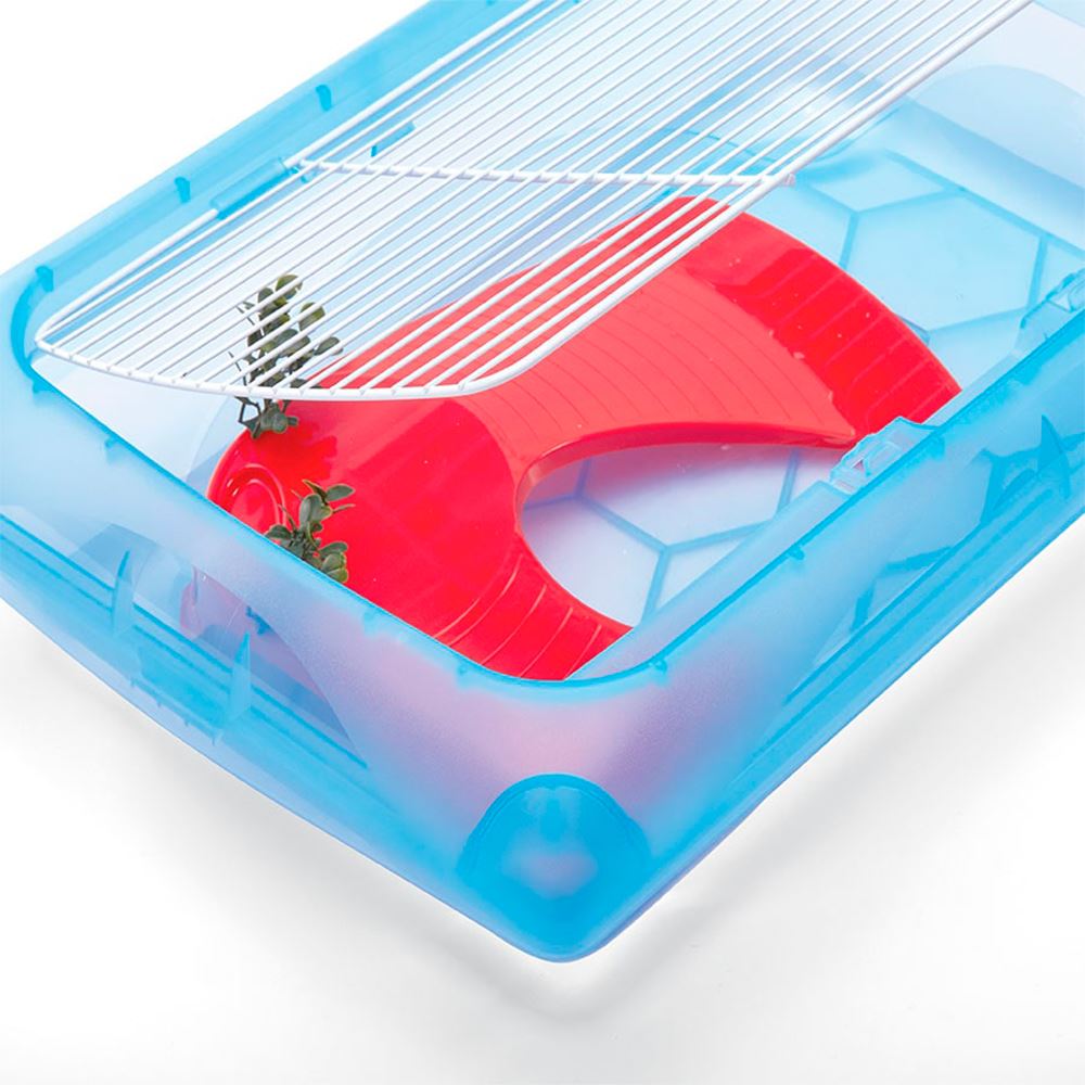 TARTARUGUEIRA "NINFEA"