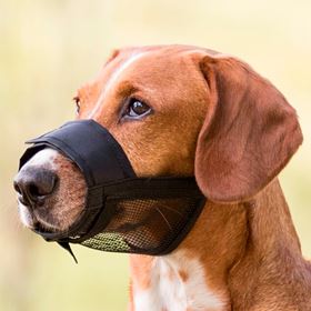 AÇAIME AJUSTÁVEL COM REDE EM NYLON