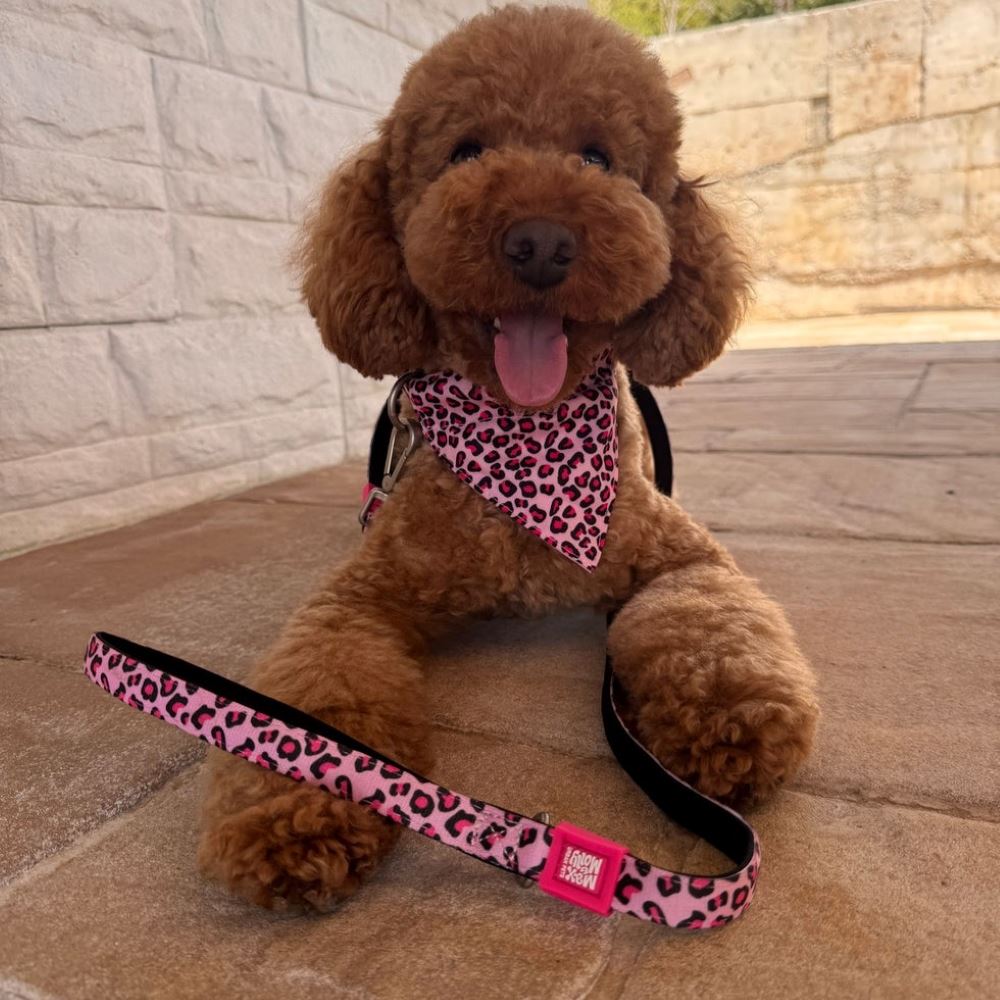 MAX & MOLLY - TRELA "LEOPARD PINK"