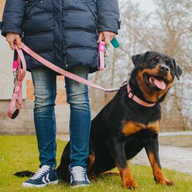 MAX & MOLLY - COLEIRA COM ID TAG "RETRO PINK"