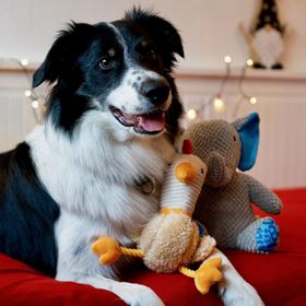 MAX & MOLLY - BRINQUEDO COM PELÚCIA "GALINHA EGGSY"