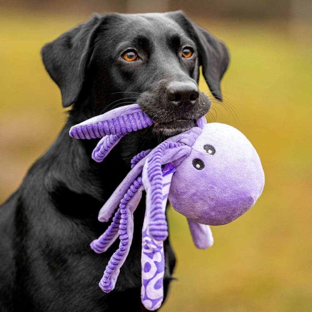 MAX & MOLLY - BRINQUEDO COM PELÚCIA "POLVO LEILA"