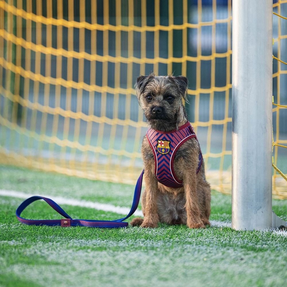 MAX & MOLLY - TRELA "FC BARCELONA"