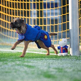 MAX & MOLLY - ROBE PARA BANHO "FC BARCELONA"