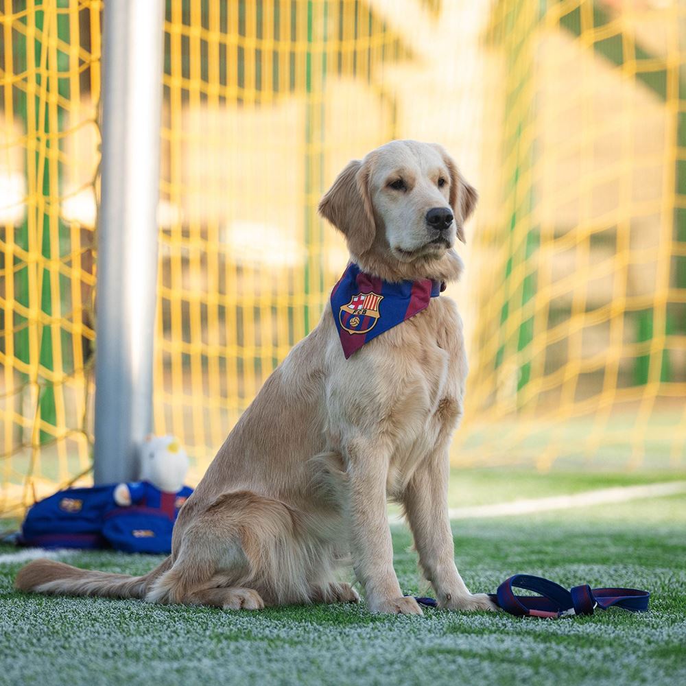 MAX & MOLLY - BANDANA "FC BARCELONA"