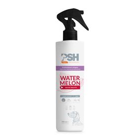 PSH - WATERMELON EAU DE TOILET PRO