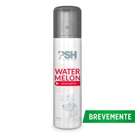 PSH - WATERMELON EAU DE TOILET