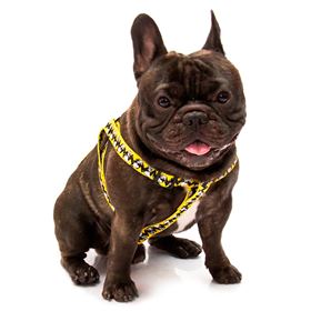 SNOOPY - PEITORAL (AMARELO/C.B.)